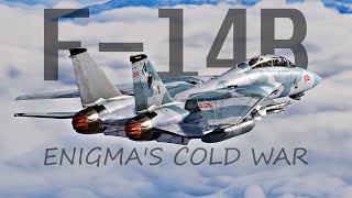 They Let The F-14B On Enigma's... | DCS | PVO Event