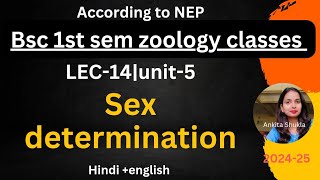 Bsc 1st sem zoology class|L-14|unit-5|Sex determination|Hindi+English#bsc1stsemester #bscbio#biology