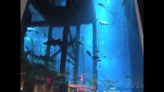 The Dubai Mall Aquarium