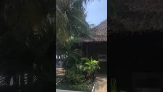 Bamburi Beach 🏖️ Hotel and  Big tee🌳 Restaurant in Mombasa  🇰🇪 having the Same rooftop ( Makutti)!!.