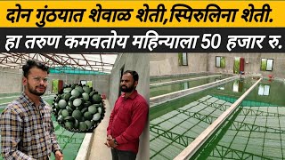 2 गुंठयात स्पिरुलिना शेती करून, हा तरुण कमवतोय लाखो रु: Spirulina farming: