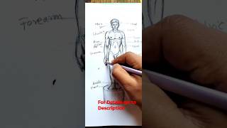 Improve your drawing skills #drawing #draw #shorts