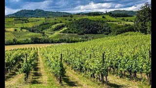 Wine tasting in Tuscany