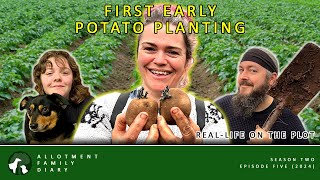 Growing Potatoes | Allotment Gardening UK Ep. 5