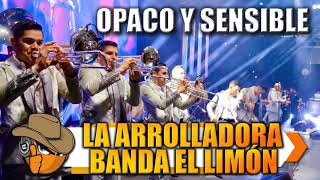 OPACO Y SENSIBLE - La Arrolladora Banda El Limón