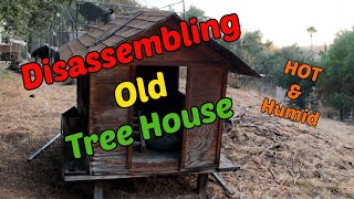 Disassembling Old Tree House