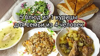 5 блюд из 1 курицы для семьи из 4 человек. 🐔🔥