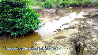 Air pasang,nunggu ikan belanak pada naik /mancing pakai botol