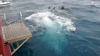 The Dive Entry