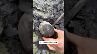 We Cracked A Limestone ORB For Cephalopod And Squid Fossils!