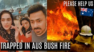 Our LIFE/DEATH EXPERIENCE: Trapped In Australian Bush-fire ~ Immy