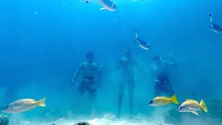 Exploring the under water world of Djibouti with Mohamed Moussa #DayVlog 66