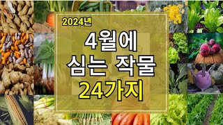 2024년 4월에 심는 작물 24가지 알아보기