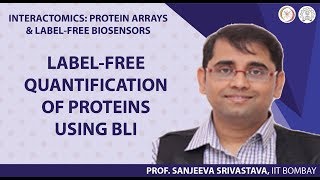 Label-free quantification of proteins using BLI