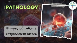 STAGES OF CELLULAR RESPONSES TO STRESS   ||PATHOLOGY  || MBBS ||  BAMS  ||