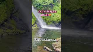 #waterfall #walesbeauty #wales #northwales #countrysongs #forest #ytshorts