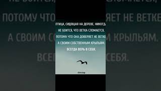 Параплан Наземка,игра с крылом💨🛩️💨