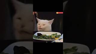 Famous Cat Meme(Image to video)#shorts #memes