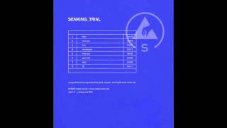 Senking ‎-Trial - 2- Wind Up