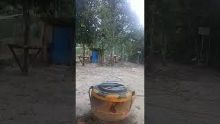 LOKASI MADU KELULUT  #ghimbo pomuan #keren #alamhijau #hutanadat #kelulutitama #shortvideo