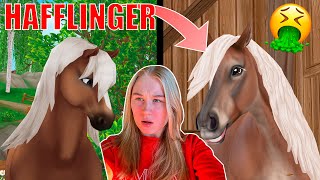 KØBER EN HAFFLINGER?!🤮 | Dansk Star Stable Online