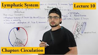 lymphatic system complete detail | Chapter Circulation | Video # 10