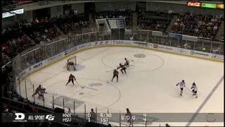 SPHL Highlights   01-19-2019