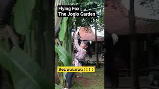 Flying Fox anak - The Joglo Garden Bekasi