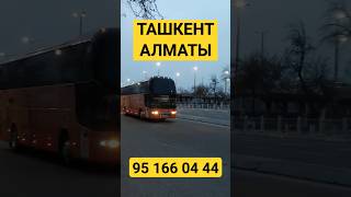 Алматы Ташкент спальный салон автобус #uzbekistan #tashkent #almaty #алматы #toshkent