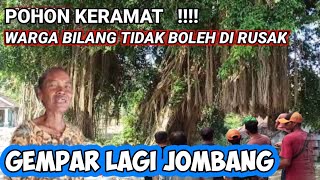 Kejadian viral❗sepasang pohon beringin pernah di rusak yang merusak langsung jatuh sakit