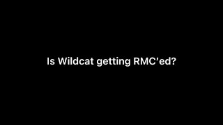 Is Wildcat finally getting RMC’ed? (Coaster Theory)