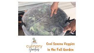 Cool Season Veggies | Fall Garden