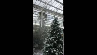 Freak weather at Bents Garden & Home - getting ready for Christmas 2016