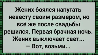 Жених Напугал Невесту Своим Размером! Сборник Свежих Анекдотов! Юмор!!!