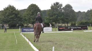 Morswood - Gatcombe