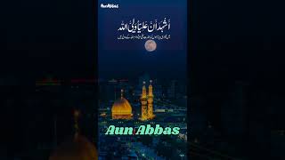 Mera Tarif Ali_un_waliullah he ha | میرا تعارف علی ولی اللہ ہی ہے | #aunabbas #shots