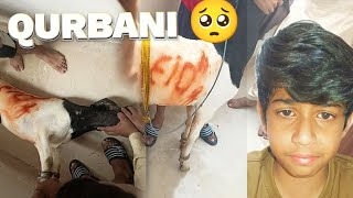 BAKRE KI QURBANI HO GAYI🥺(EMOTIONAL VLOG)