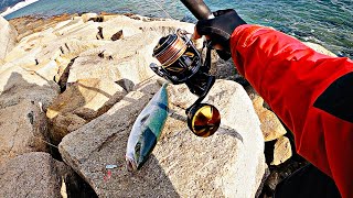 STELLA SW6000XG ft COLTSNIPER XR 100H SHORE JIGGING IN JAPAN [ DAIWA TG BAIT]ショアジギング＋ブレードジグ