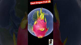 Giant Dragon Fruit On GoogleEarth😱#shorts #youtubeshorts #shortsfeed #googleearth #dragonfruit #map