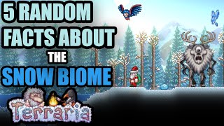 5 Random facts about The Snow Biome in Terraria!