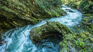 Cascading Water on the River | Relaxing Music