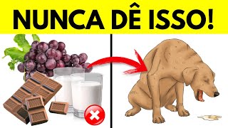 7 Alimentos Proibidos que Podem ACABAR com a Vida do seu Cão -  O que cachorro não pode comer