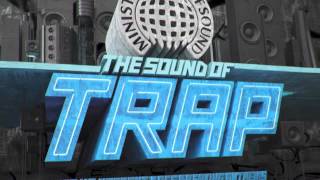 09 - Clarity (feat. Foxes Brillz Remix) - The Sound of Trap