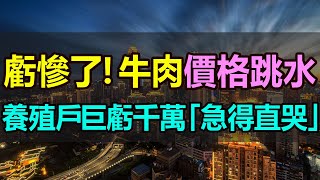 牛肉價格「大跳水」，養一頭牛巨虧6000元！養殖戶底褲都虧沒了！急得直哭！牛肉跌成豬肉價，多養一天就多賠一天！養殖業遭受巨大沖擊，實在慘不忍睹 #牛肉價格暴跌 #養殖戶巨虧 #牛肉價格跳水 #養牛巨虧