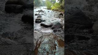 Paniyeli poru, Eco tourism in Ernakulam, one day trip, Feb 10