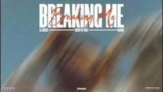 Breaking Me - DJ Soushi - Road We Walk - Naom1