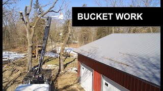 Tree canopy removal - BURR OAK - bucket work with truck