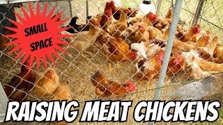 Raising Meat Chickens On Small Property