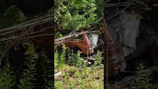 Lost in time at Mcleans Auto Wreckers #automobile #oldcars #junkyard #abandoned