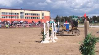 конкур 29.08.15 ,,кубок города'' (один повал и прощай призовое место) / Смоленск 2015 / СДЮСШОР №3